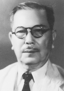 陈嘉庚 陈嘉庚
