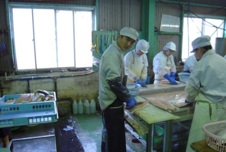 中国侨网-谜之日本研修生:5000人突然失踪为哪