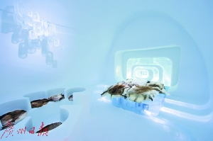 冰酒店由冰雕艺术家来设计室内装饰。