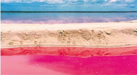 粉红色湖泊
