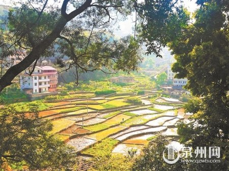 永春县吾峰镇吾顶村具有发展旅游的潜力，让不少在外的村民渐渐回归。 （梁白瑜 摄）