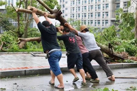 台风过后重建校园 台风过后重建校园