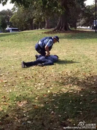 网传警方逮捕中国游客现场照片 网传警方逮捕中国游客现场照片
