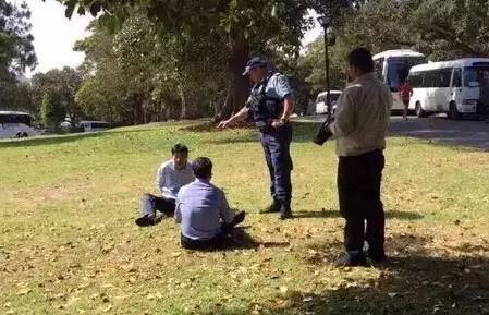 被训话居然有一丝“迷之乖巧”