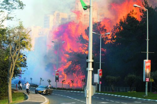24日，以色列山火蔓延至城市，当地6万余人紧急疏散。美国《侨报》援引美联社图片