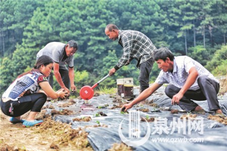 左脚残疾的方寿玲(左一)在林连生带领下创建了阳泊岭农场基地，吸纳了两名残疾人就业。(戴涵琦 摄)