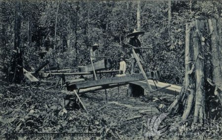 印尼棉兰深山中的中国南方的锯木工1900年