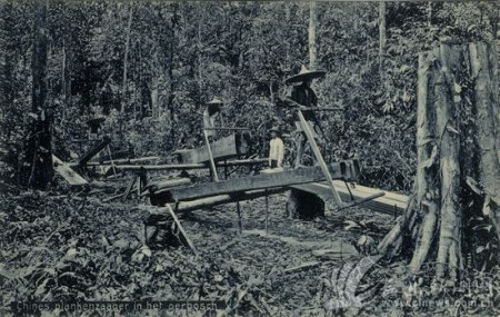 印尼棉兰深山中的中国南方的锯木工1900年 印尼棉兰深山中的中国南方的锯木工1900年