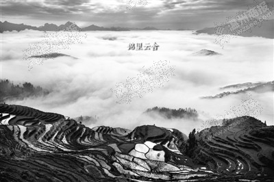 茗岙梯田。摄摄狼 摄 茗岙梯田。摄摄狼 摄