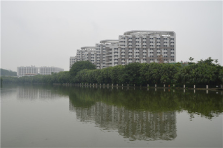 今年,东湖公园与五邑大学打开“围墙”,新增了四个出入口。潘伟珊摄 今年,东湖公园与五邑大学打开“围墙”,新增了四个出入口。潘伟珊摄