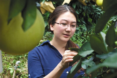 2014年，刘梅旭去一线收集果树生长的资料数据。