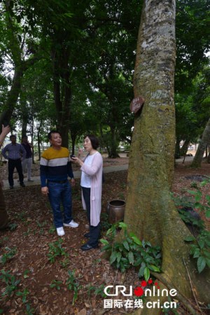 葫芦村支书邢益为向记者介绍村里保护生态环境的经验 摄影：夏吉宣