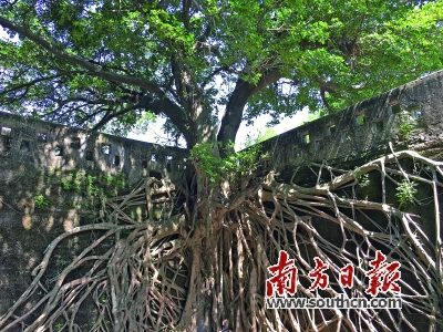 揭阳惠来沿海海丝遗迹之澳角炮台