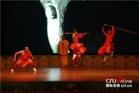 河南艺术团体带来的武术节目