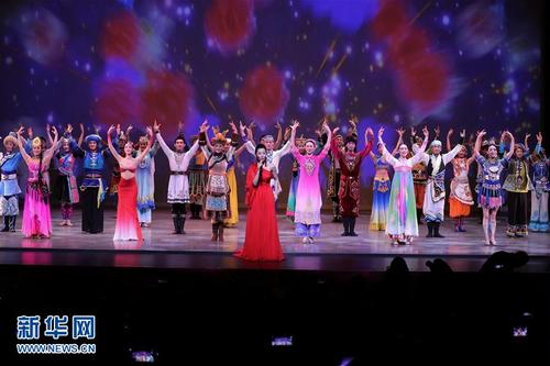 不齿·不耻-中国侨网