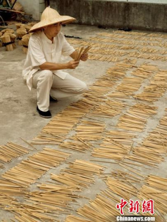 王连道观察天竺筷。 王旭琼 摄 王连道观察天竺筷。 王旭琼 摄