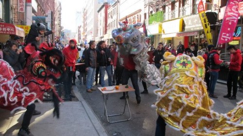 华埠舞狮日，数十醒狮闹新春。(美国《世界日报》/高梦梓 摄)