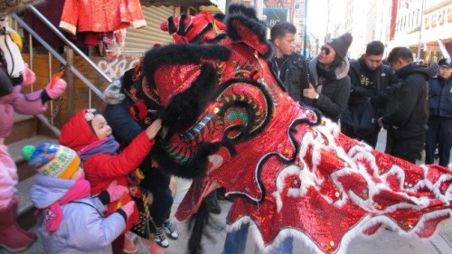 华埠舞狮日，数十醒狮闹新春。(美国《世界日报》/高梦梓 摄)