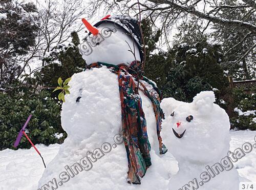 有列市居民在后院堆砌了一个雪人，除了为“他”悉心打扮，更有宠物雪猫陪伴，可说“无微不至”。(加拿大《星岛日报》/庄昕 摄 )