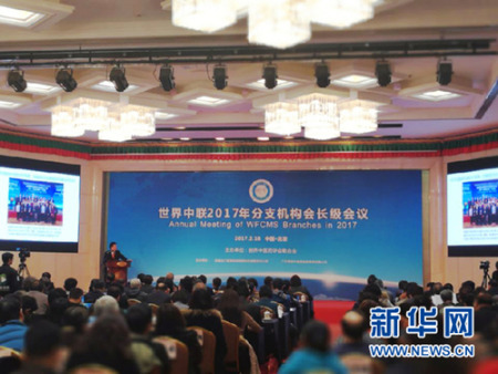 世界中联2017年分支机构会长级会议现场 世界中联2017年分支机构会长级会议现场