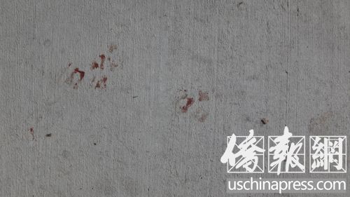 门前水泥地上清晰可见几滴血迹。(美国《侨报》/高睿 摄) 门前水泥地上清晰可见几滴血迹。(美国《侨报》/高睿 摄)