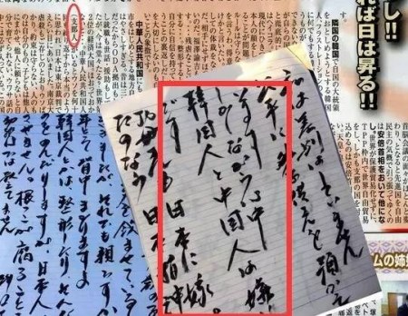 该幼儿园向家长分发的文章中，明确称“讨厌中国人和韩国人”