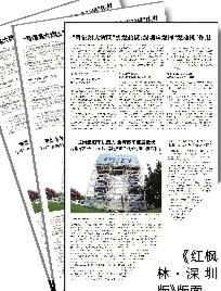 《红枫林·深圳版》版面。 《红枫林·深圳版》版面。