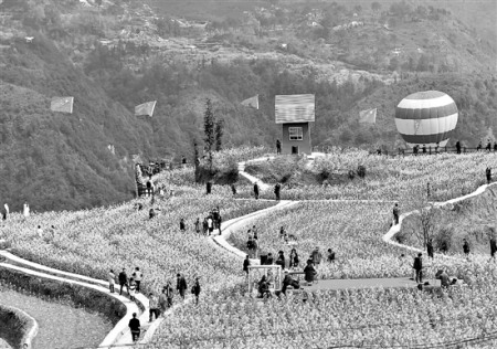 上图:航拍小舟山乡油菜花梯田。 梁臻 洪文霆 摄 上图:航拍小舟山乡油菜花梯田。 梁臻 洪文霆 摄