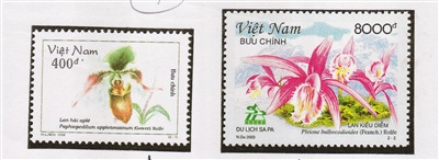 越南邮票上的海南兜兰。