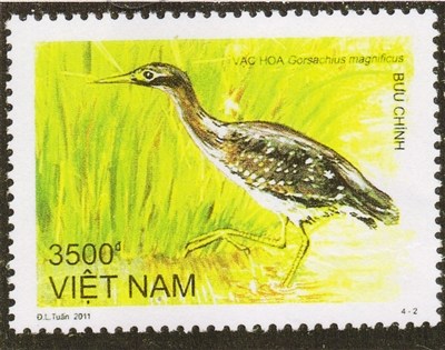越南邮票上的“海南夜鳽”。