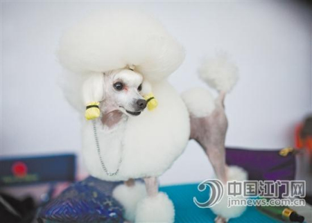 “我好看吗?” “我好看吗?”