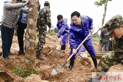 莆田市委书记林宝金参加义务植树劳动。