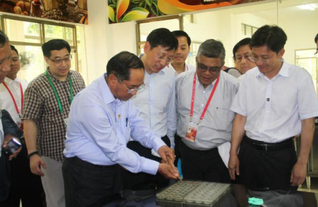 缅甸副总统吴敏瑞体验兴隆热带植物园巧克力DIY。