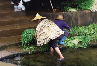 头戴斗笠身披蓑衣的劳作者。