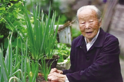 110岁的汪阿叶(女)是目前永嘉最年长的老人。 叶新人 摄