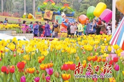南国花城 南国花城