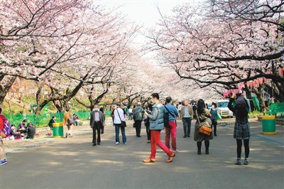 东京上野公园。 　　资料图片