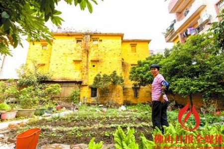 屋后的菜地上，一位市民正在为其种植的蔬菜浇水。 　　/佛山日报记者王澍摄