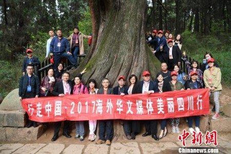 海外华文媒体代表在广元市剑阁县翠云廊采风，在千年古树前合影。　张浪 摄