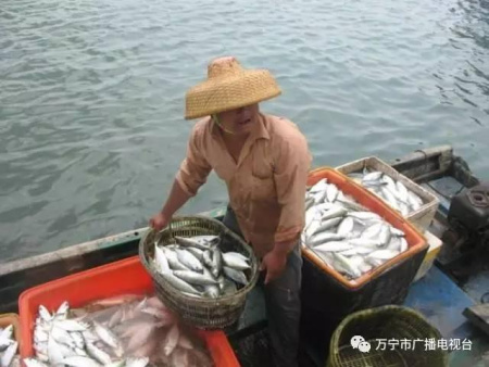 买卖间交流,好生热闹。 买卖间交流,好生热闹。