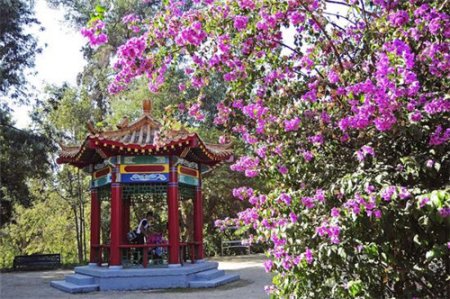 这是4月13日在智利首都圣地亚哥中国公园内拍摄的六角亭。新华社发 这是4月13日在智利首都圣地亚哥中国公园内拍摄的六角亭。新华社发