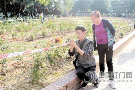 两位市民正在东湖公园赏花。何传贵/摄 两位市民正在东湖公园赏花。何传贵/摄