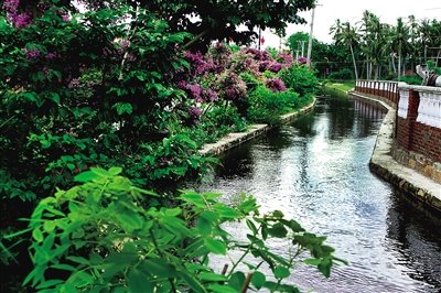 溪边美景。（图片由万宁市委宣传部提供）