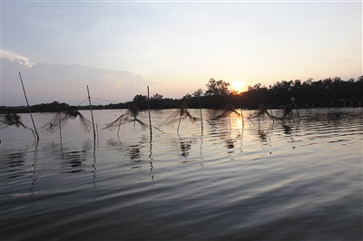 文昌八门湾，当地渔民在河道上设置网具捕鱼抓虾。