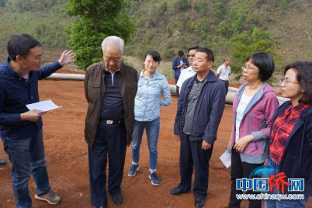 图为加拿大侨领霍宗杰等正在云南考察。钟欣 摄 图为加拿大侨领霍宗杰等正在云南考察。钟欣 摄