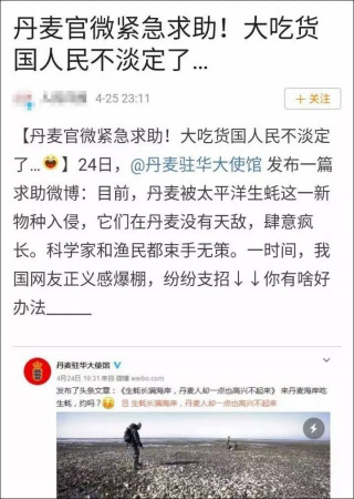中国网民和媒体都很捧场，不少中国人跃跃欲试准备组团去丹麦吃生蚝。(图片来源：微博截图)