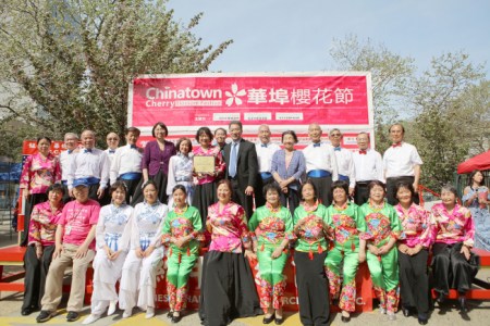 第七届“华埠樱花节”29日热闹举行。(美国《世界日报》) 第七届“华埠樱花节”29日热闹举行。(美国《世界日报》)