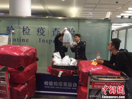 图为截获的鱼苗。浙江检验检疫供图 图为截获的鱼苗。浙江检验检疫供图