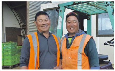 Allan(方健罗,左)和Collin两兄弟(新西兰先驱报中文网) Allan(方健罗,左)和Collin两兄弟(新西兰先驱报中文网) Allan(方健罗,左)和Collin两兄弟(新西兰先驱报中文网) Allan(方健罗,左)和Collin两兄弟(新西兰先驱报中文网)