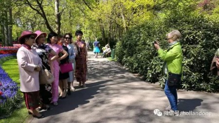 (一网荷兰微信公众号图片) (一网荷兰微信公众号图片)